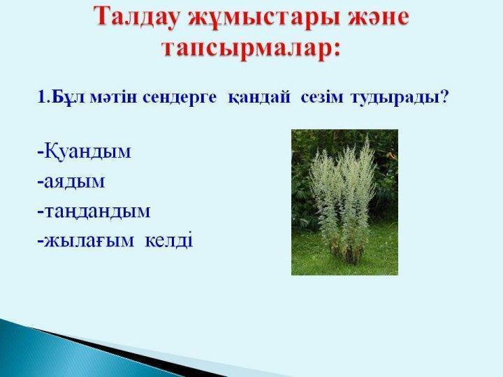 Жармагамбетова Ляззат. Ашық сабақ. Жусан иісі