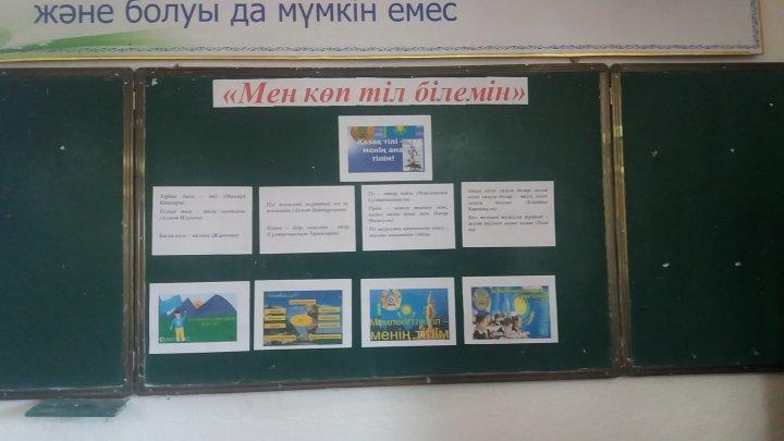 "Ана тілім баға жетпес байлығым" атты тәрбие сағаты 9-сынып Молдабекова Г