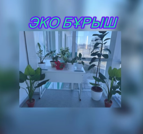 Экологиялық бұрыш